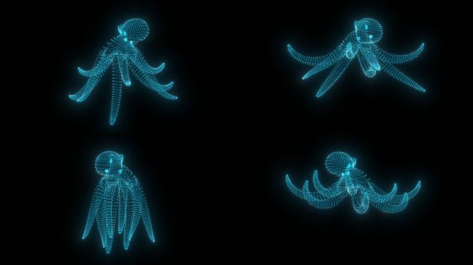 粒子章鱼动画素材带通道