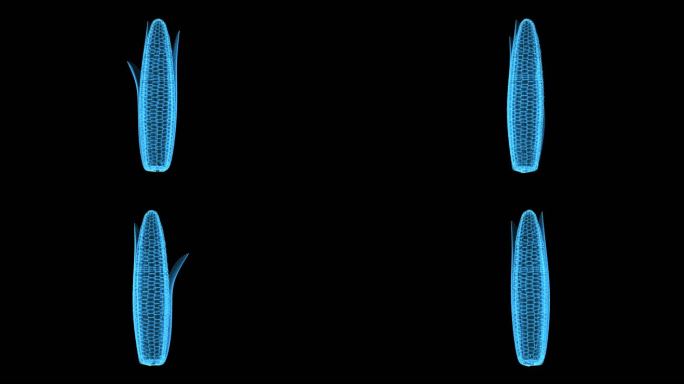 蓝色全息玉米素材带通道