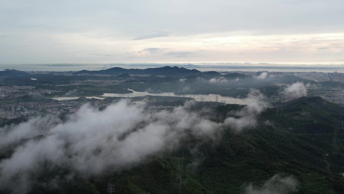 【正版素材】深圳宝安石岩湖，石岩水库航拍