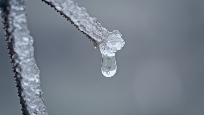 水春春天冰冰雪融化水滴滴水融化雪消融冰川