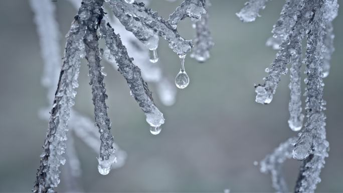 水春春天冰冰雪融化水滴滴水融化雪消融冰川