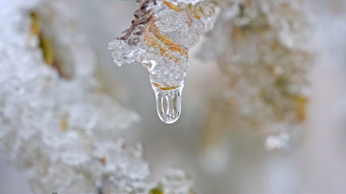 水春春天冰冰雪融化水滴滴水融化雪消融冰川