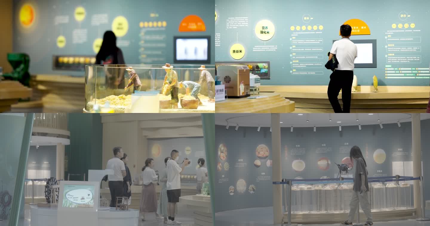 隆平水稻博物馆参观