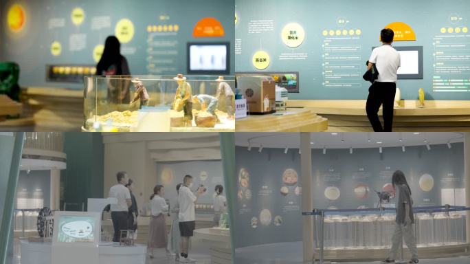 隆平水稻博物馆参观