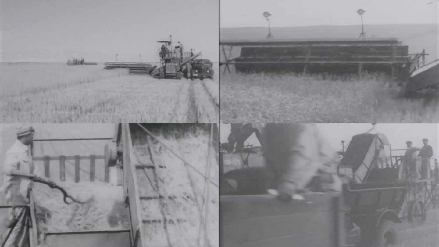收割小麦 收割机 50年代60年代