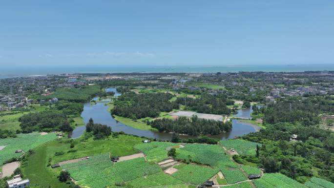 海口市美兰区东平村,南渡江入海口