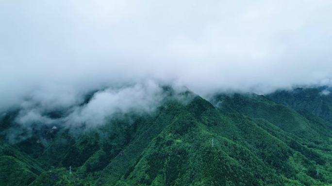 4K雨雾森林大自然风景树林山川乡村振兴