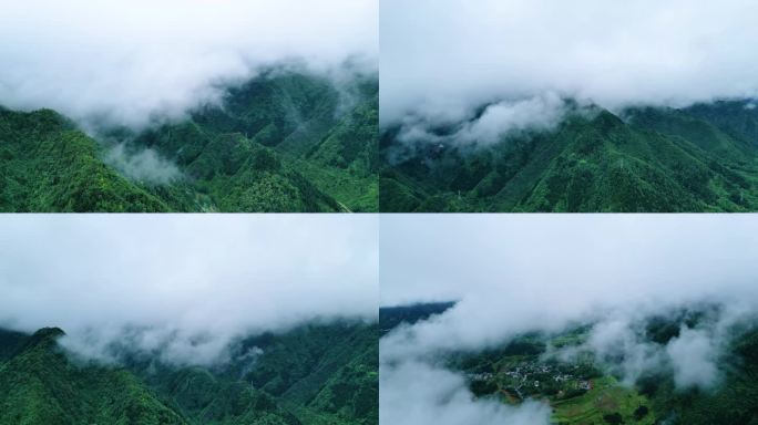 4K雨雾森林大自然风景树林山川乡村振兴