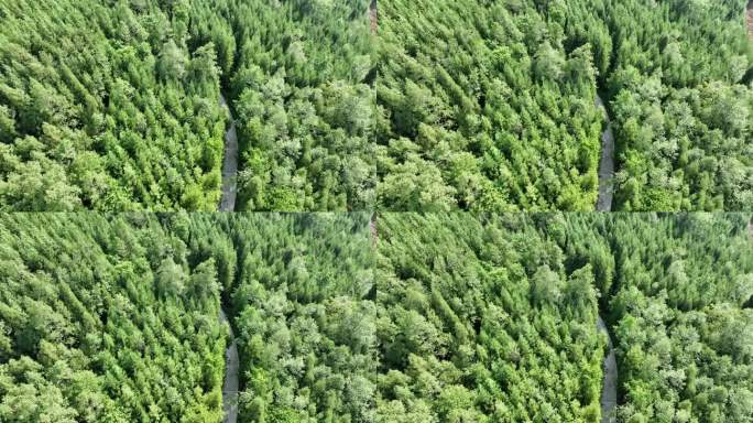 绵阳北川地形地势山林航拍