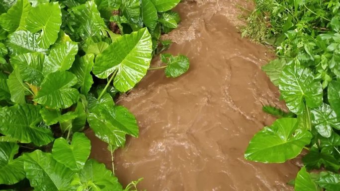 暴雨 水淹 水漫 洪水 山洪流走河流水灾