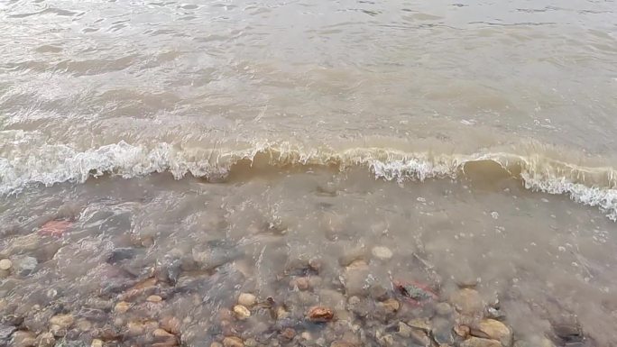 鹅卵石河水河边石块河水洪流洪水河水上涨