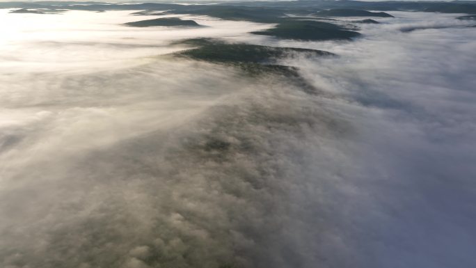 航拍黎明青山森林云海