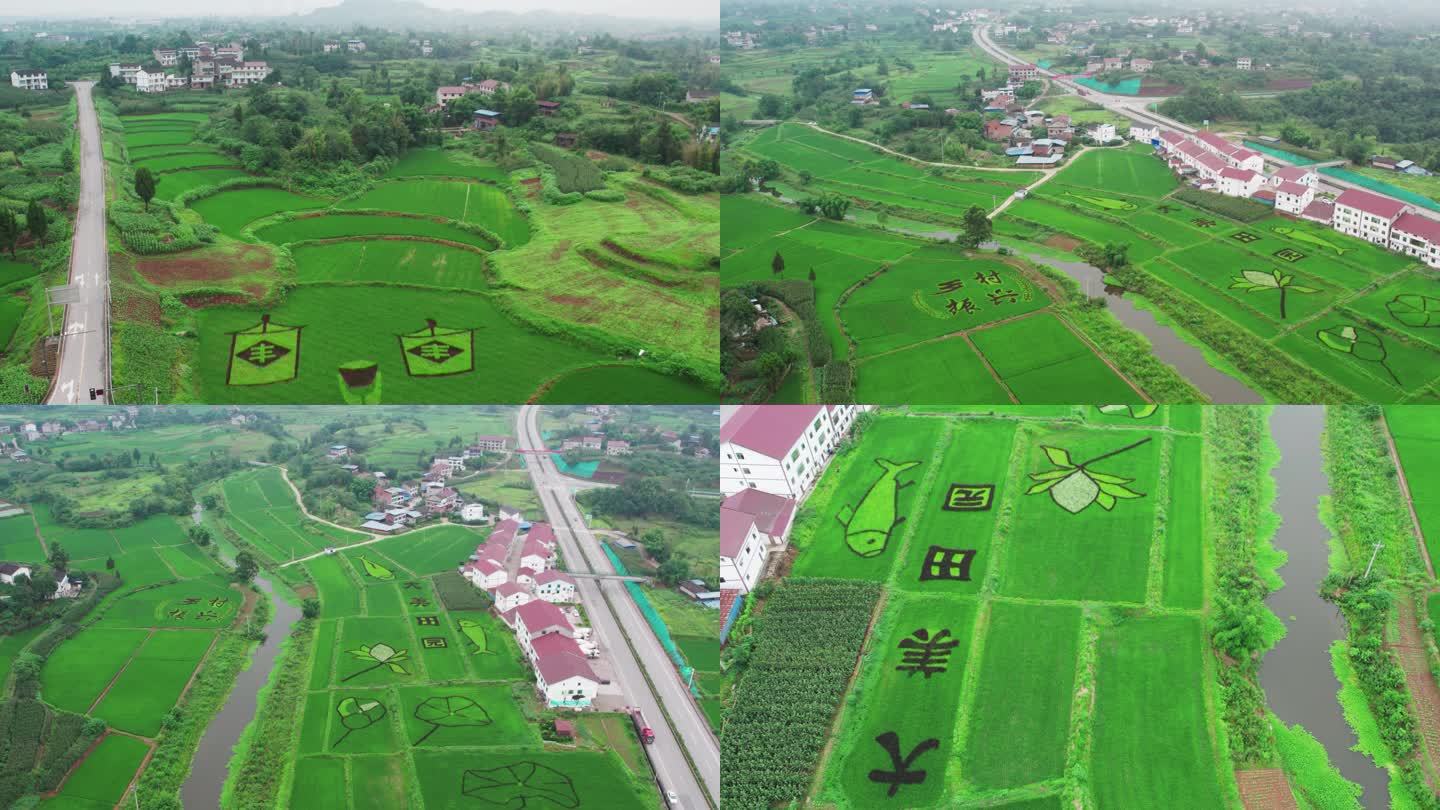 绿色生态稻田画
