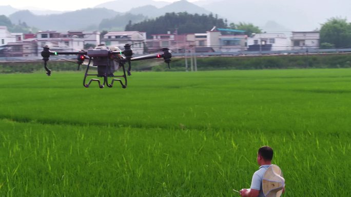 农民搬运大疆植保无人机在稻田中洒农药