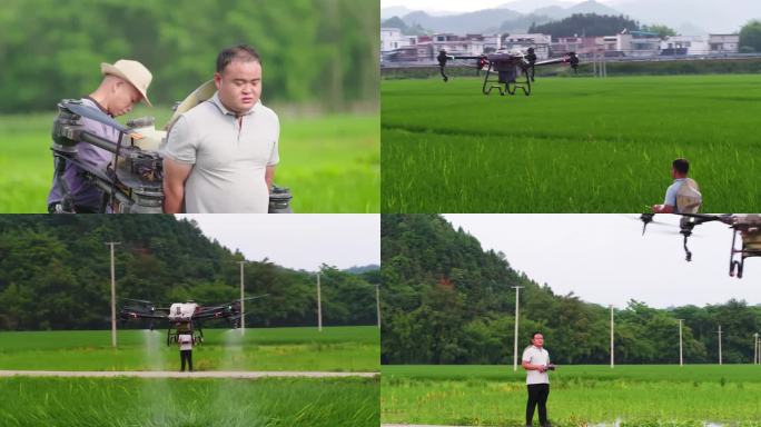 农民搬运大疆植保无人机在稻田中洒农药