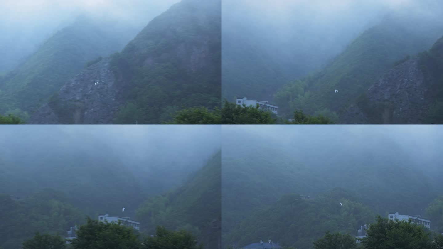 云雾缭绕的大山和飞鸟