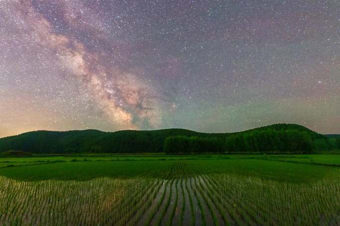 稻田银河