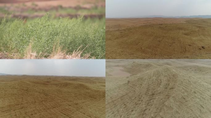 大规模治沙设置沙障 沙漠草方格