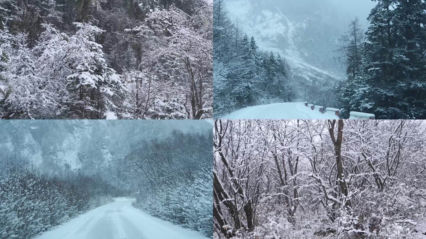 暴雪行驶汽车