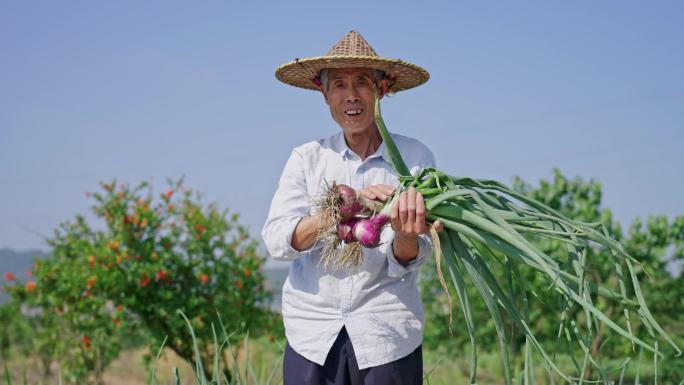 菜地 农村农民笑脸 拔洋葱