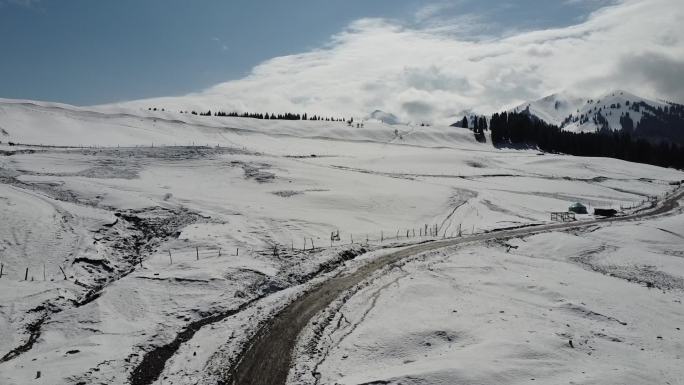 新疆伊犁库尔德宁大气壮观雪山丛林景色