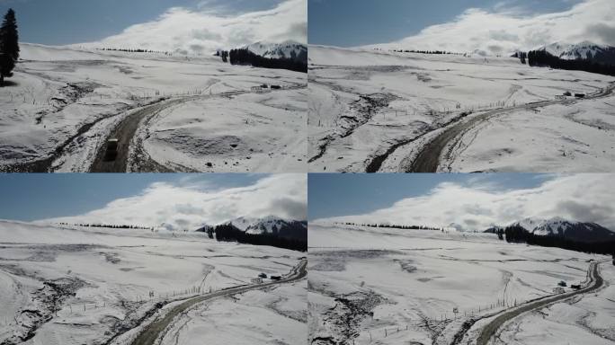 新疆伊犁库尔德宁大气壮观雪山丛林景色