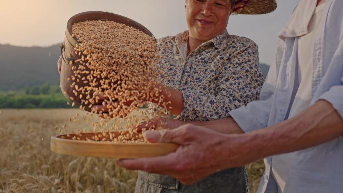 粮食丰收农民笑脸