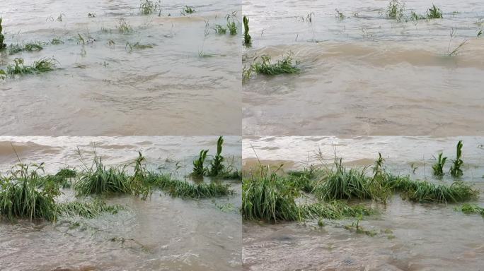 洪灾洪水河水水位上升堰塞湖河水河边河涝河