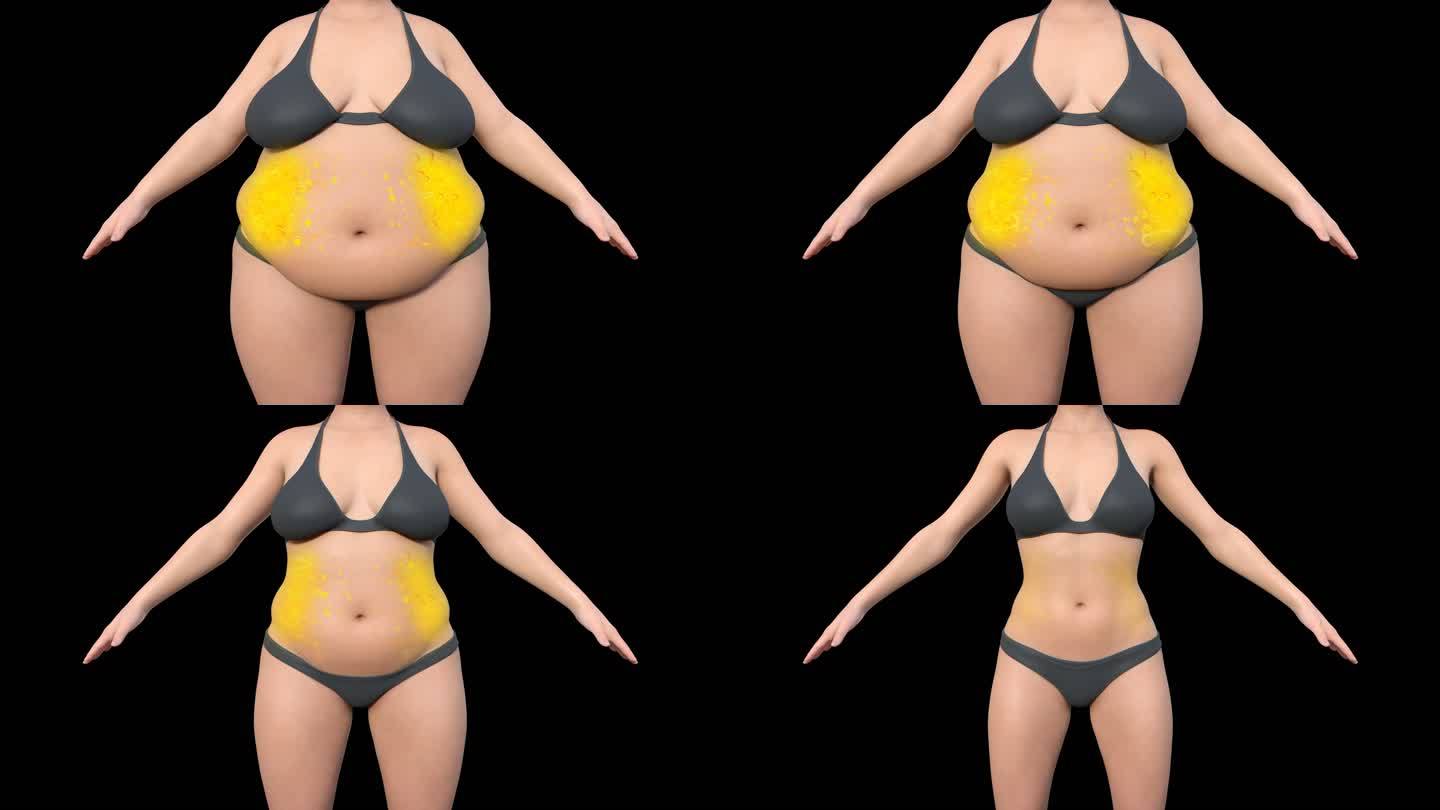 女性减肥动画脂肪燃烧卡路里胖变瘦带通道