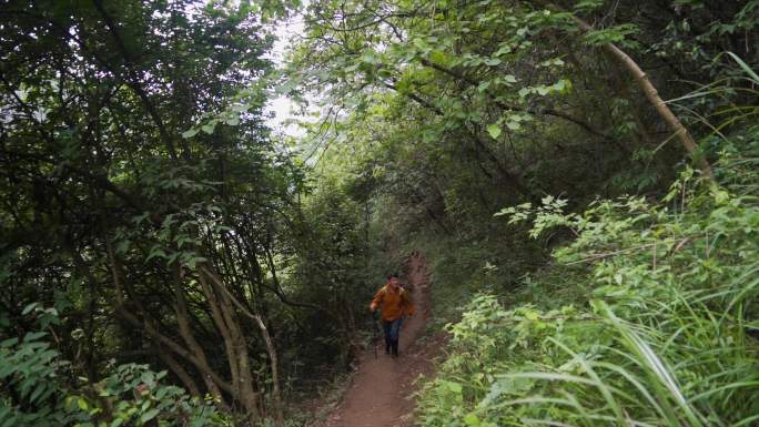 走进大自然穿过林间小道崎岖山路登山者探险