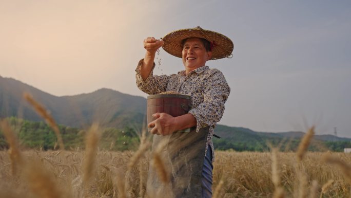 粮食丰收农民笑脸