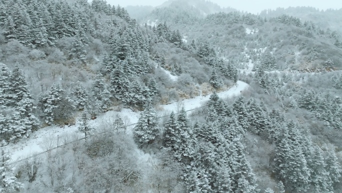 神农架雪天4k航拍素材