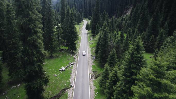 行驶在森林公路上的汽车