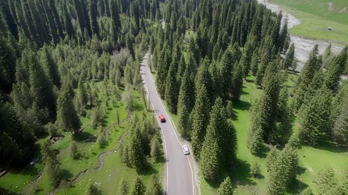 行驶在森林公路上的汽车