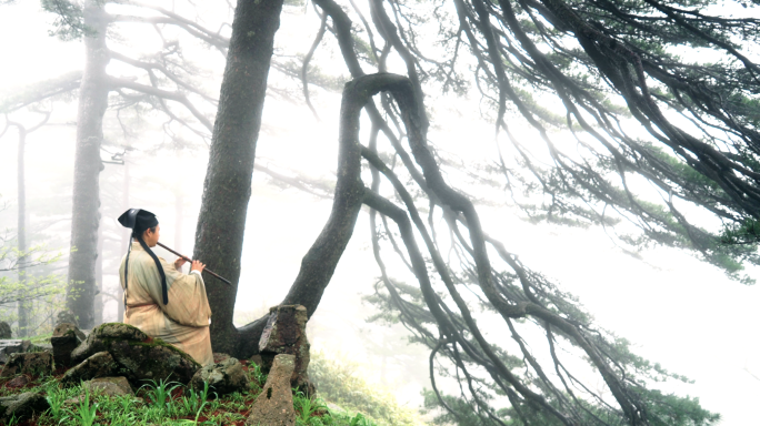 古代诗人隐士 登山写诗  古人寄情山水