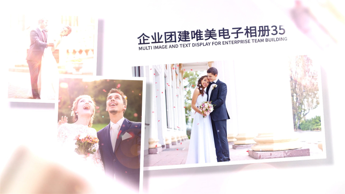 【无插件】大气电子相册多照片展示AE模板