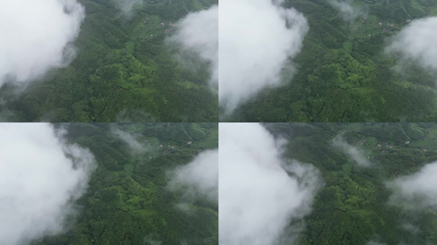 山区俯瞰植被覆盖率  俯拍森林云雾缭绕