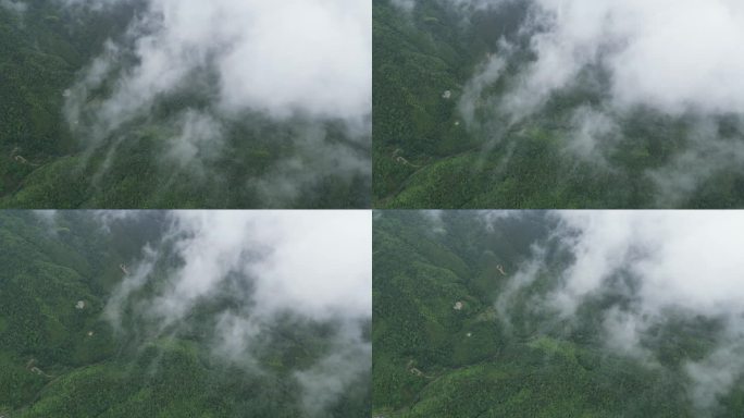 山区俯瞰植被覆盖率  俯拍森林云雾缭绕