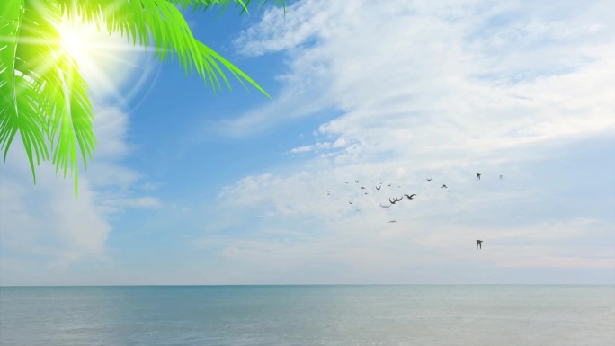 夏天蓝天海面阳光白云椰树叶背景