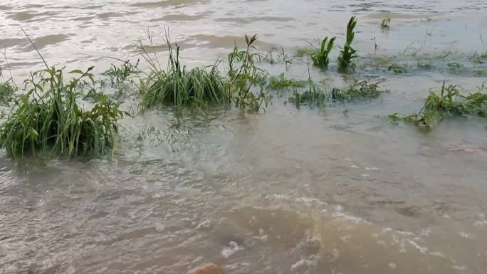 洪灾洪水河水水位上升堰塞湖河水河边河涝河