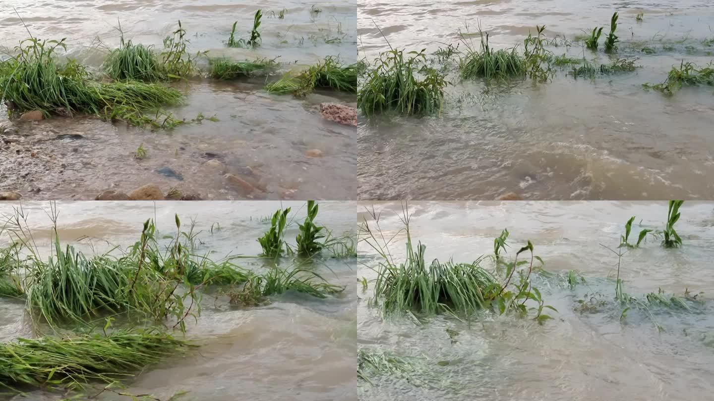 洪灾洪水河水水位上升堰塞湖河水河边河涝河