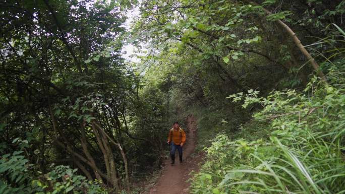 户外徒步登山旅行穿过森林脚步特写走路背影