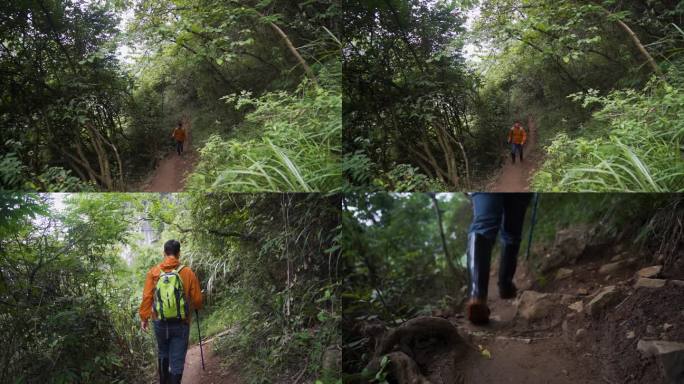 户外徒步登山旅行穿过森林脚步特写走路背影