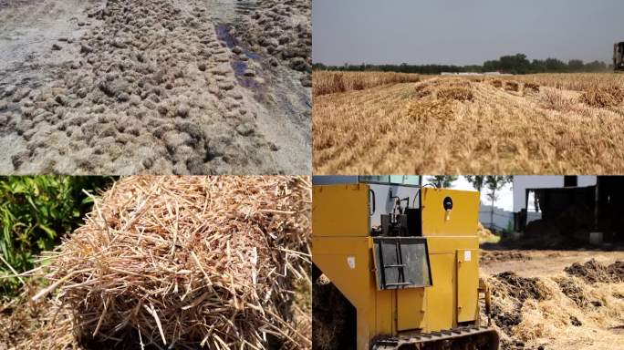 小麦秸秆 有机肥 处理秸秆 无害化处理