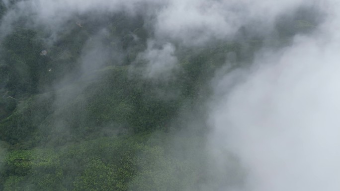 山区俯瞰植被覆盖率  俯拍森林云雾缭绕