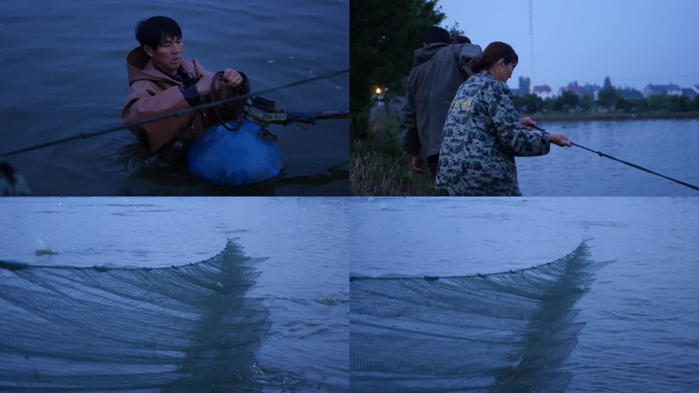 清晨渔民下水捕鱼4K实拍