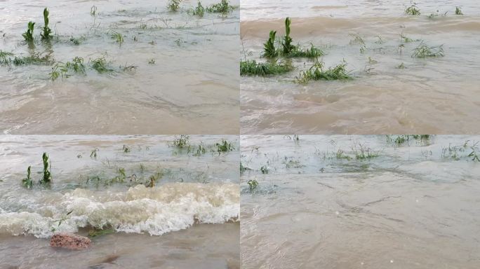 洪灾洪水河水水位上升堰塞湖河水河边河涝河