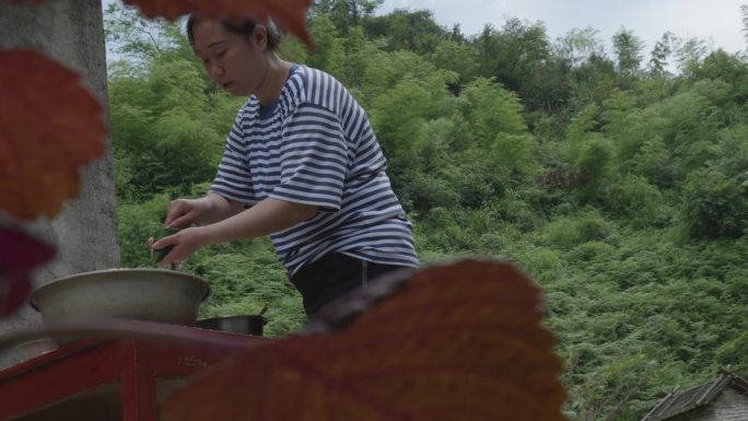 端午节农村包肉粽子