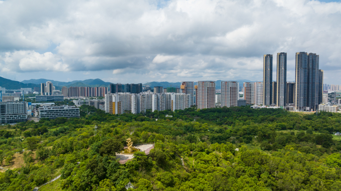 坪山区聚龙山公园延时2