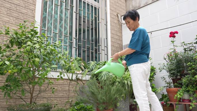 老人浇花 庭院 老人 退休 生活 南方